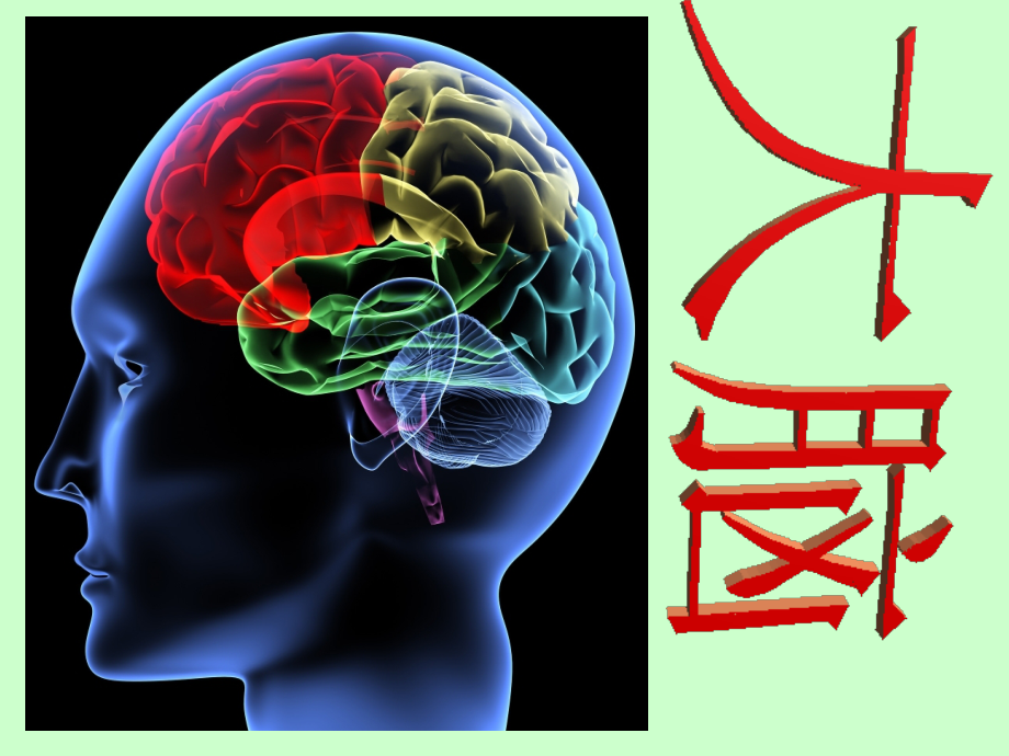 苏教版科学《大脑》课件.ppt_第2页