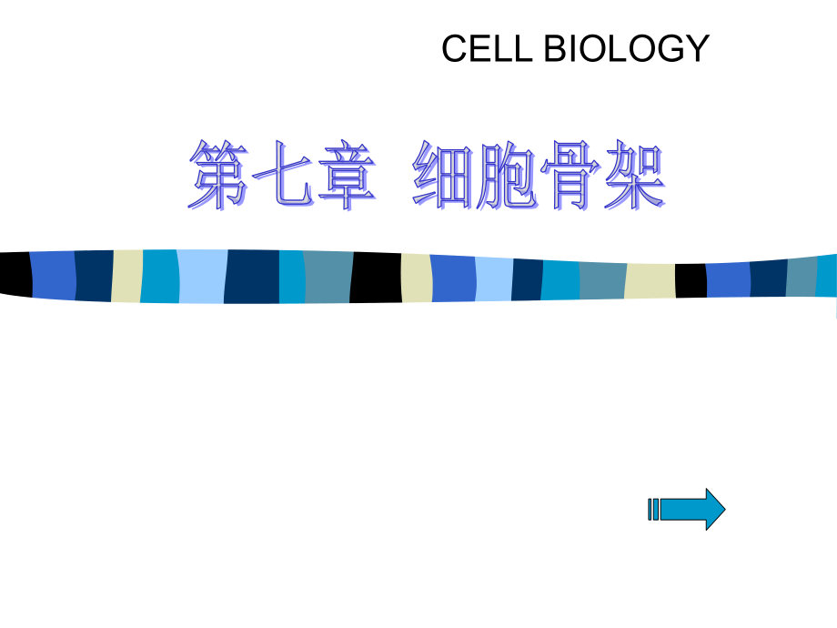 第七章-细胞骨架--细胞生物学.ppt_第1页