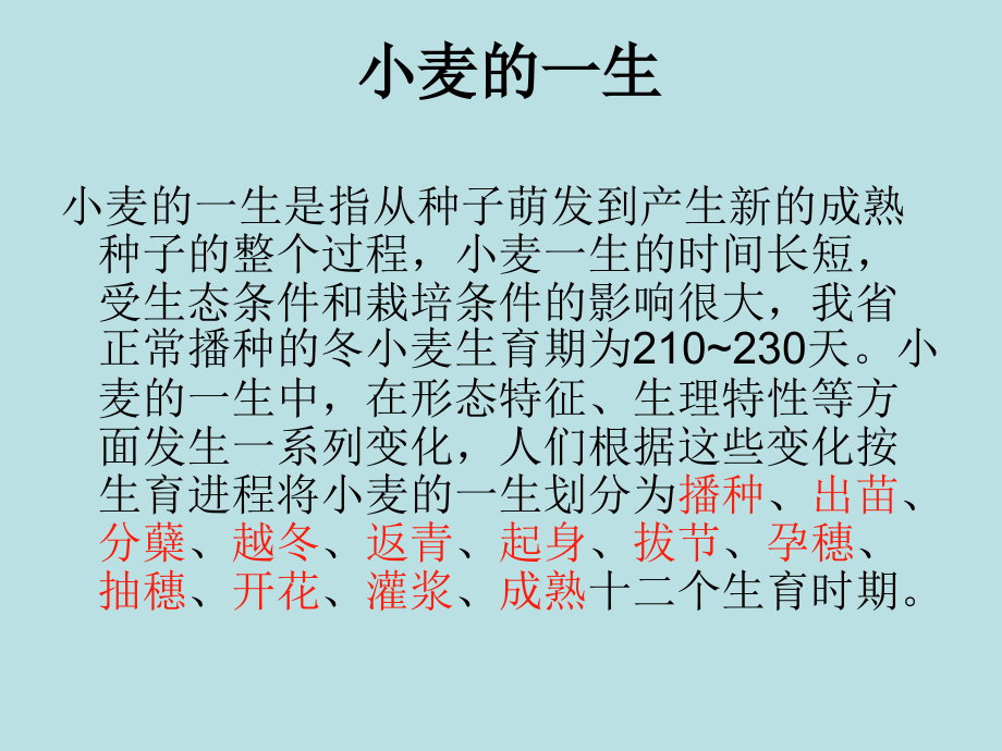 小麦抗逆高产栽培技术.ppt_第2页