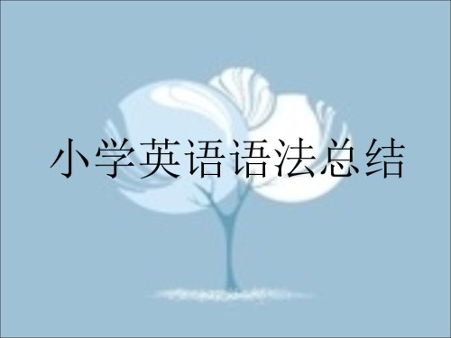 小学英语语法讲解、练习及答案.ppt