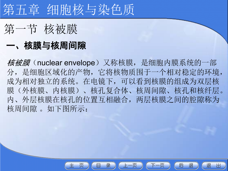 第五章-细胞核与染色质-细胞与遗传基础.ppt_第2页