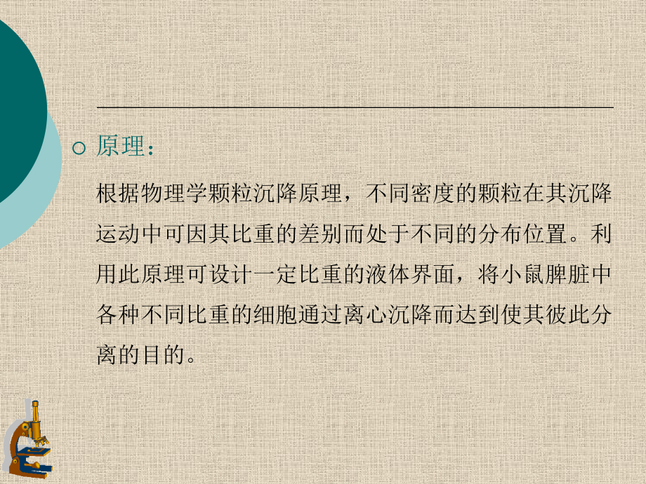 实验五-小鼠单个核细胞分离.ppt_第2页