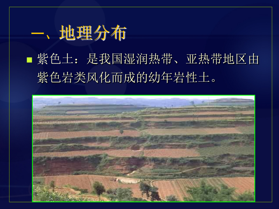 土壤学第七章---紫色土.ppt_第2页