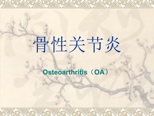 骨性关节炎的诊治.ppt