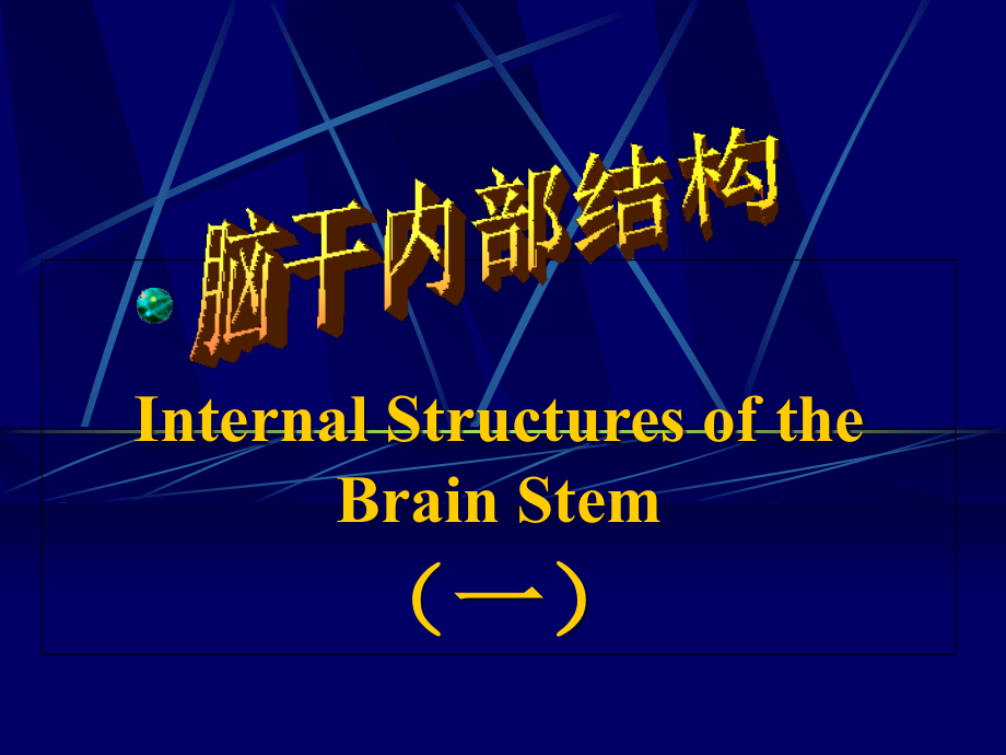 脑干内部结构-解剖学教学.ppt_第1页