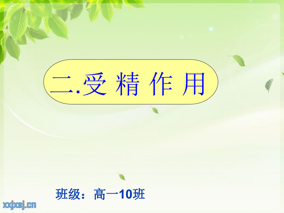 受精作用教学设计.ppt_第1页