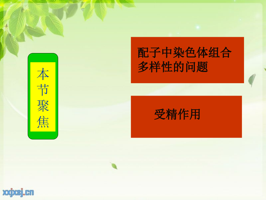 受精作用教学设计.ppt_第2页