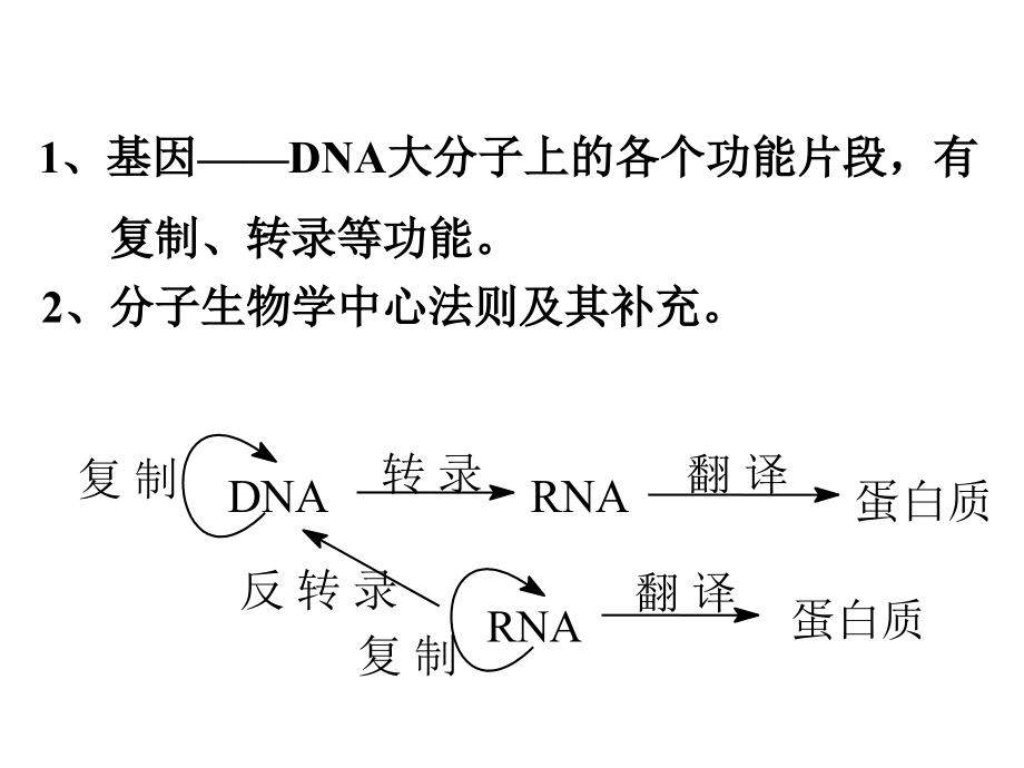 第十一章--核酸的生物合成.ppt_第2页