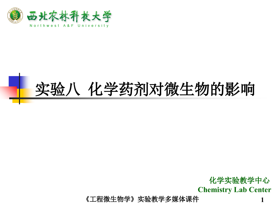 实验八-化学药剂对微生物的影响.ppt_第1页
