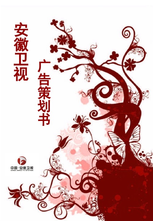 安徽卫视频道策划推广书.ppt