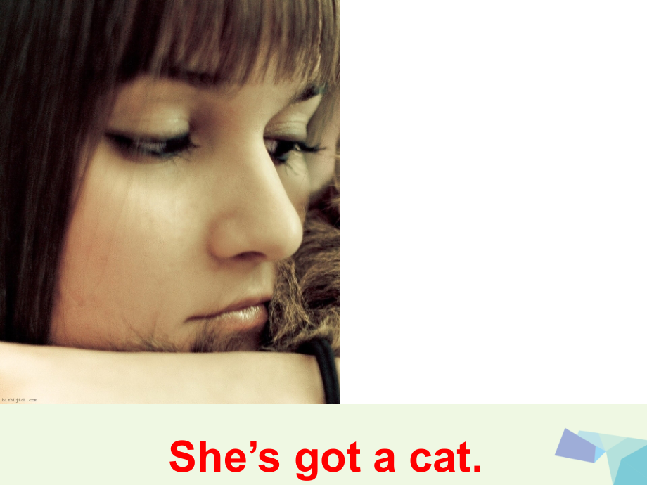 三年级英语上册Unit2She’sgotapetcat.ppt_第2页