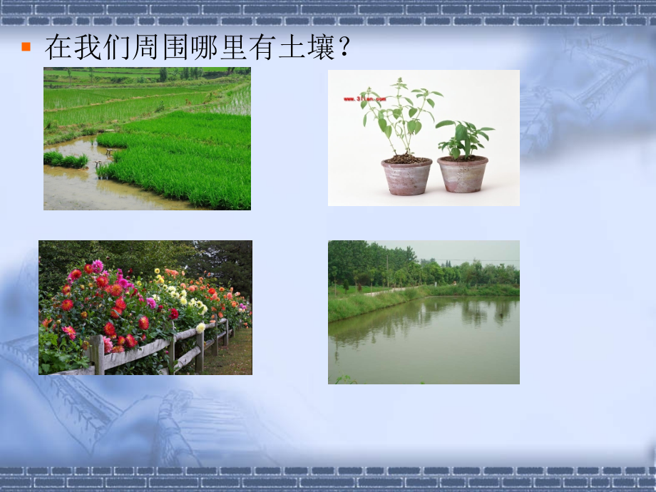 苏教版小学科学三年级下册一单元(1)《我们周围的土壤》.ppt_第2页
