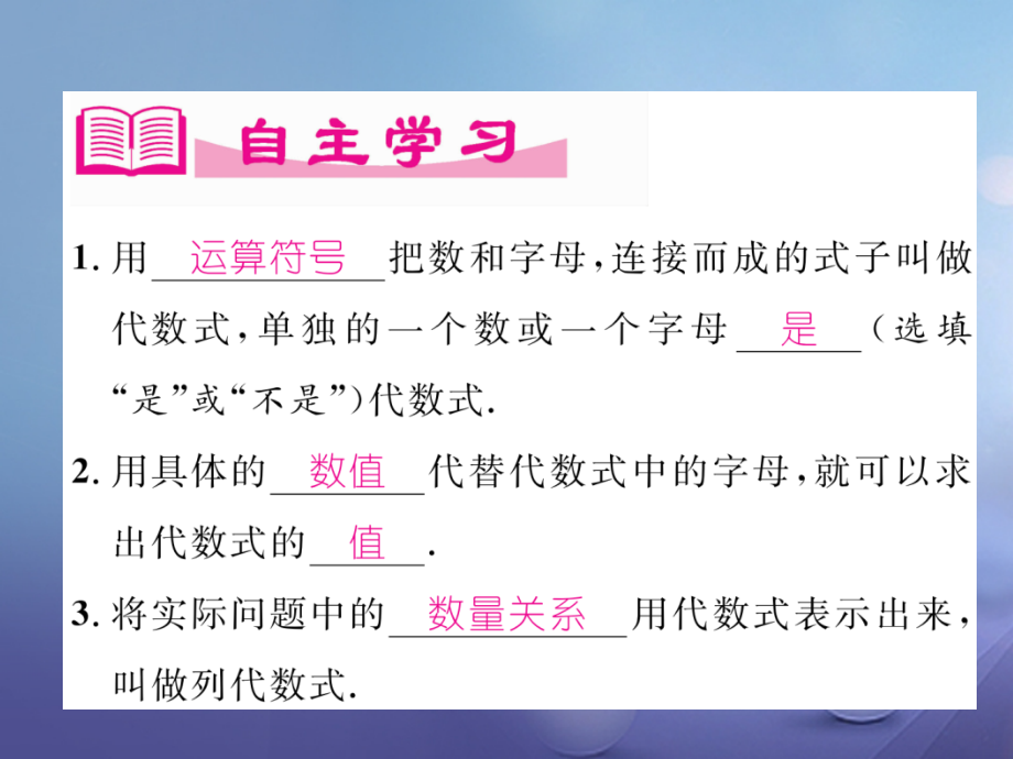 七年级数学上册32代数式(1)同步作业.ppt_第2页
