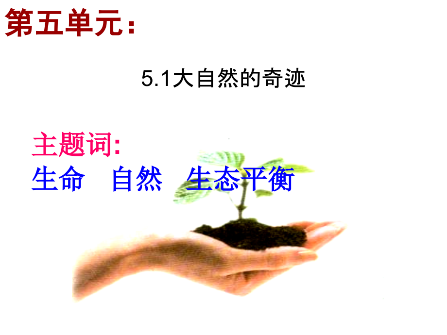 生命宝贵5.1.ppt_第2页