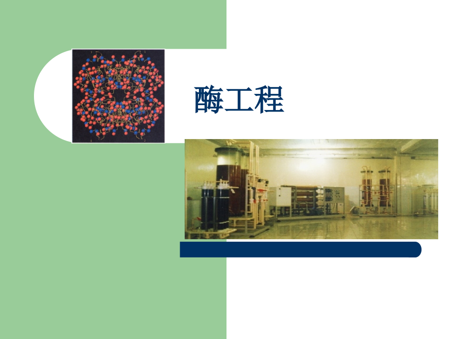酶工程1-第一章：酶工程.ppt_第1页
