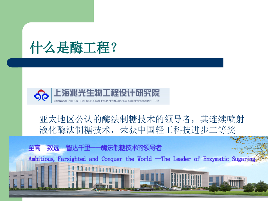 酶工程1-第一章：酶工程.ppt_第2页