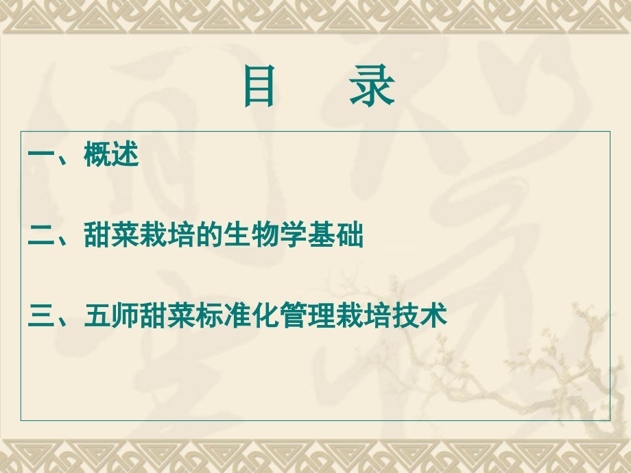 甜菜标准化生产管理技术.ppt_第2页