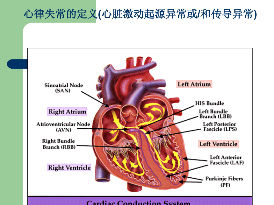 心律失常专题.ppt_第2页