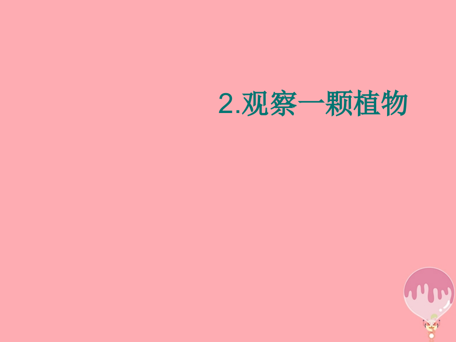 一年级科学上册12观察一棵植物.ppt_第1页