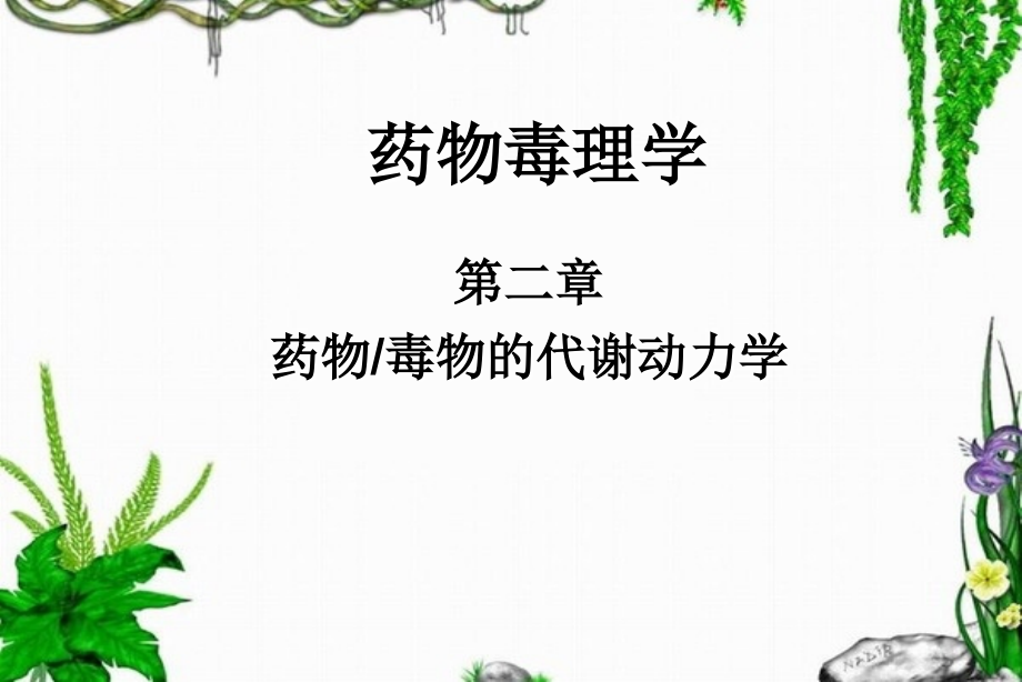 药物毒物的代谢动力学.ppt_第1页