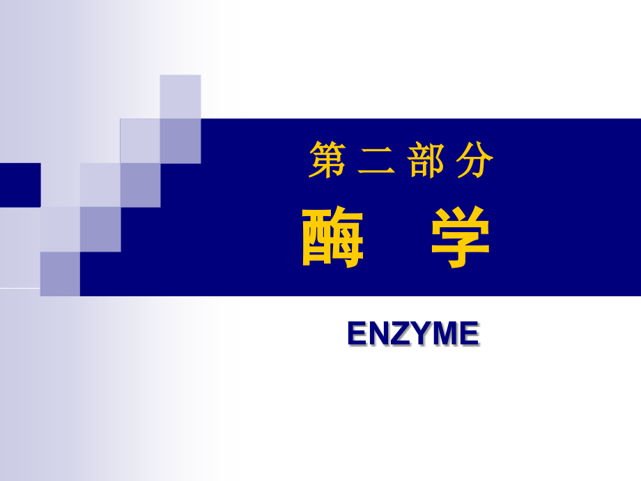 第3章酶与维生素.ppt_第2页