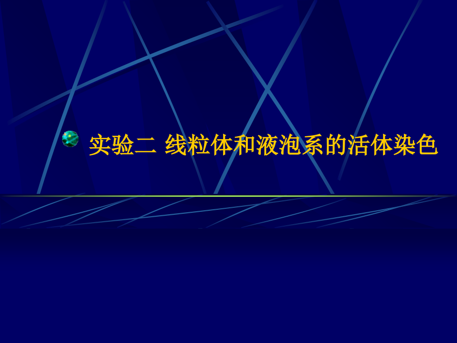 实验二-线粒体和液泡系的活体染色.ppt_第1页