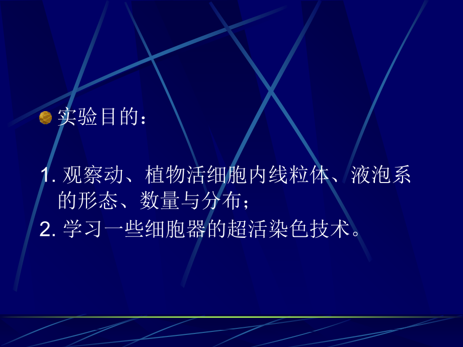实验二-线粒体和液泡系的活体染色.ppt_第2页