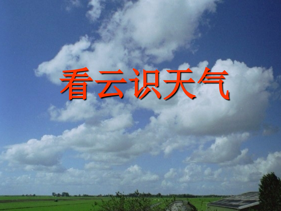 看云识天气-九年级上册语文.ppt_第1页