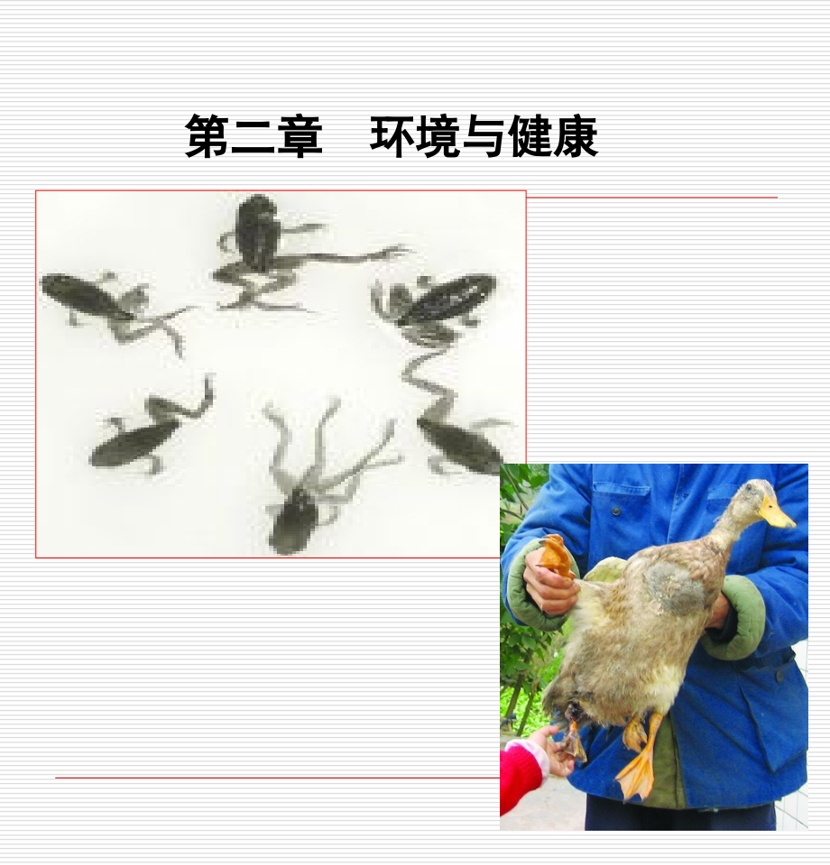 2-环境与健康.ppt_第1页