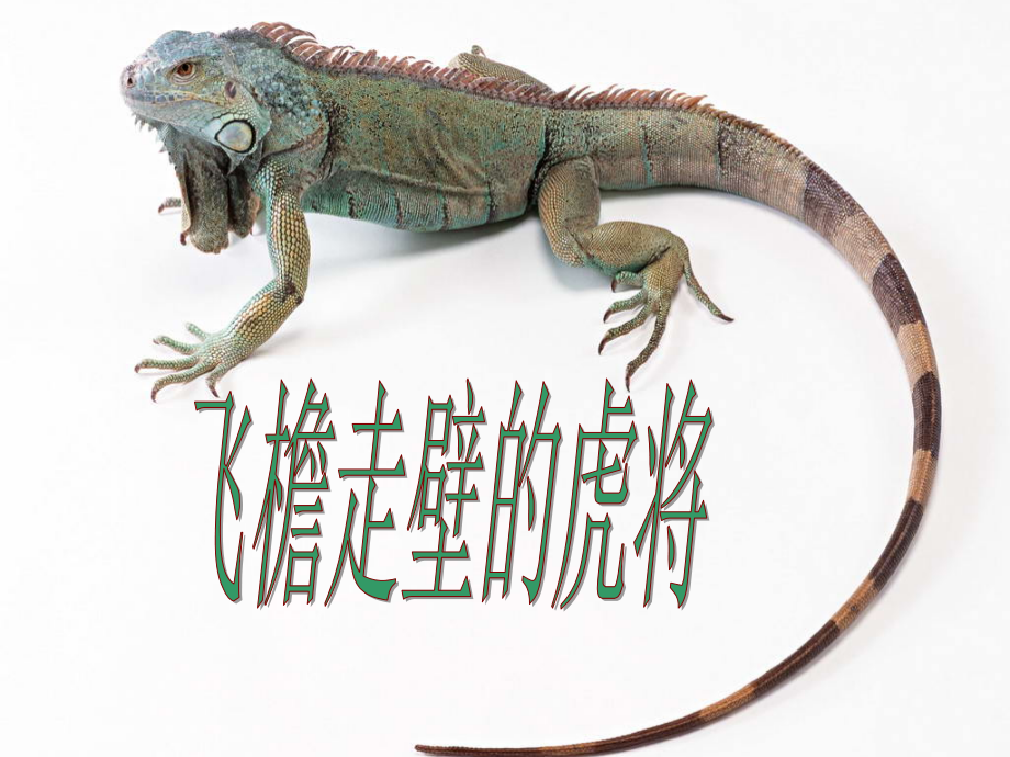 飞檐走壁的虎将1》.ppt_第1页