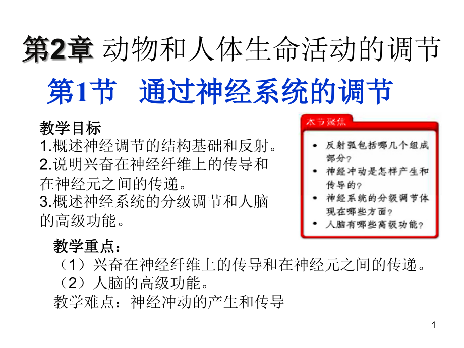 生物：21《通过神经系统的调节》同步(新人教版必修3).ppt_第1页