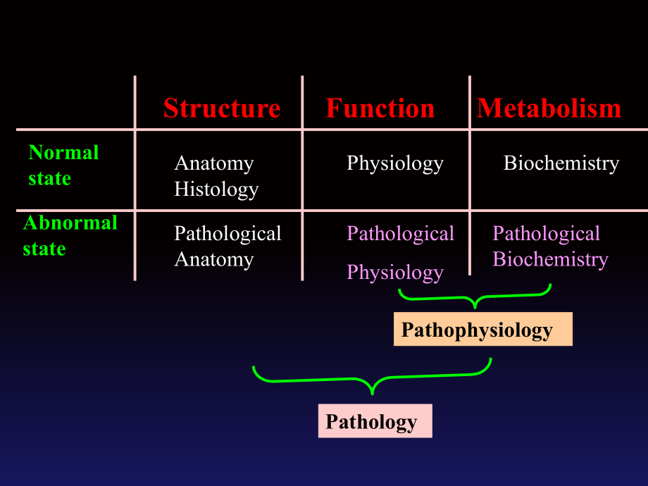 兽医病理生理学.ppt_第2页