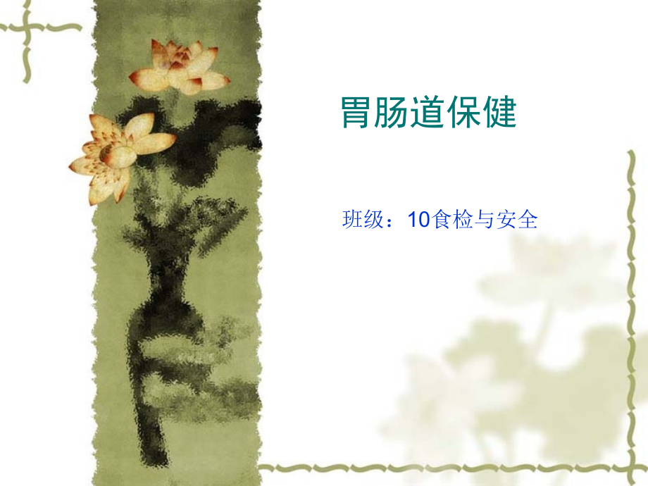 胃肠道保健.ppt_第1页