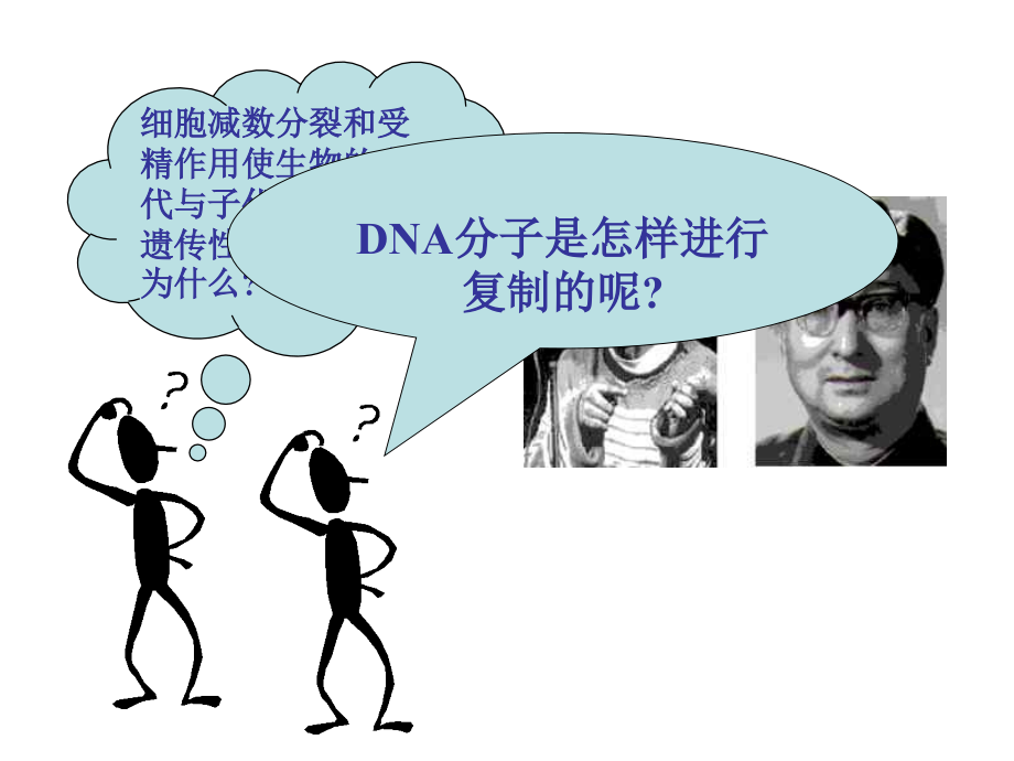 第三节dna的复制.ppt_第2页