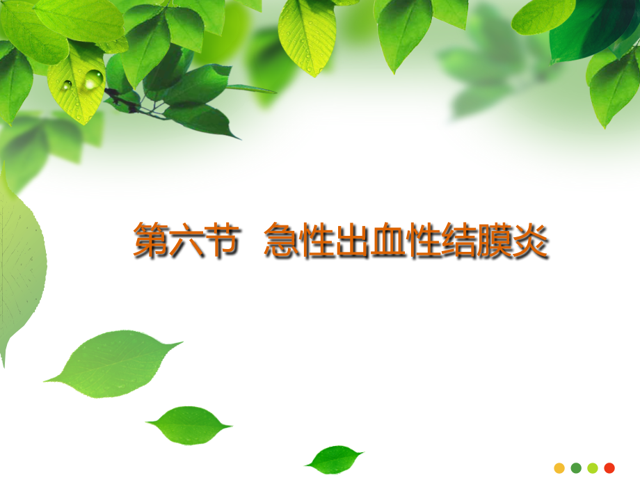 第三章-第6节-急性出血性结膜炎.ppt_第1页