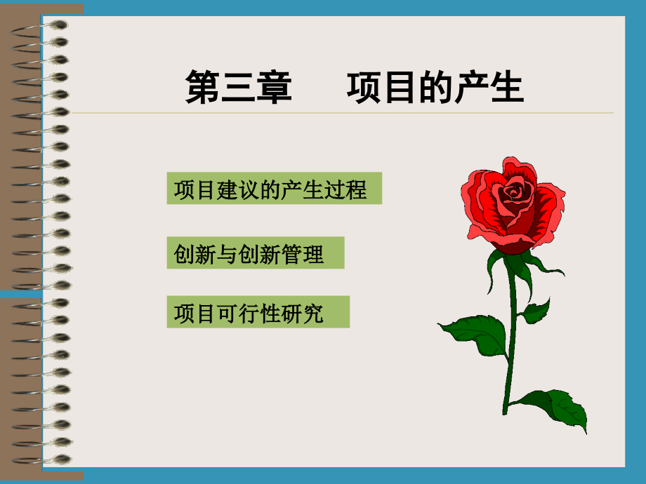 项目的产生.ppt_第1页