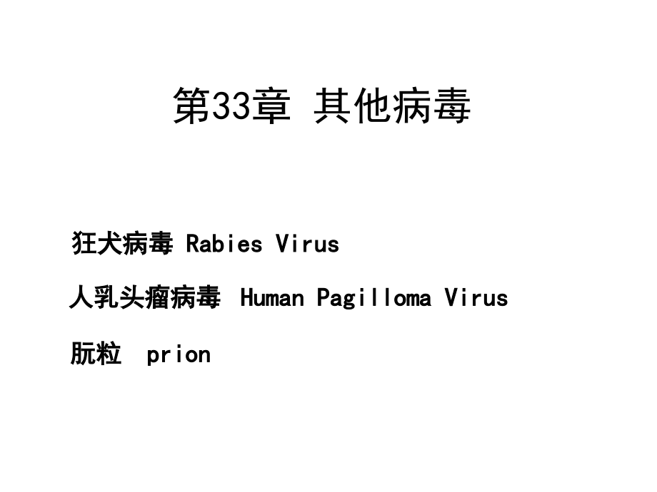微33其他病毒.ppt_第1页