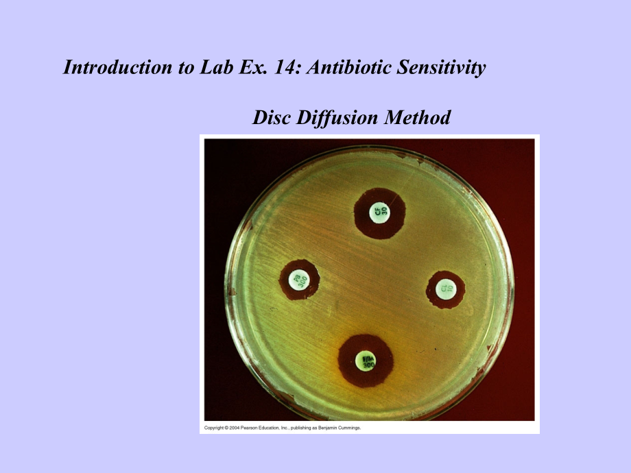 抗生素(英文)-Introduction-to-Lab-Ex-14-Antibiotic-Se.ppt_第1页
