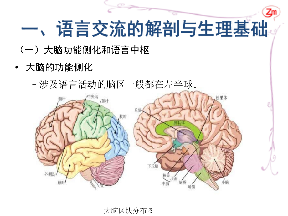第二章-语言交流的基础.ppt_第2页