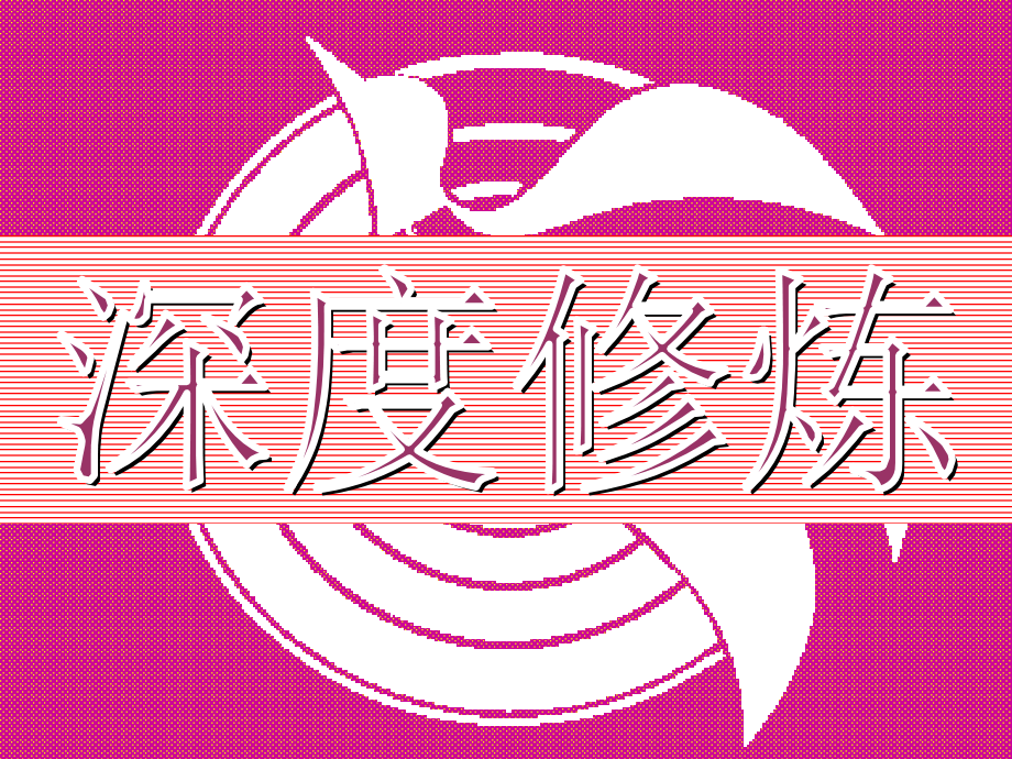深度修炼.ppt_第2页