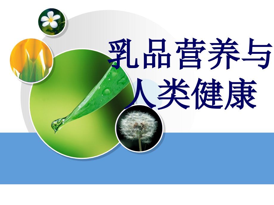 乳品营养与人类健康.ppt_第1页