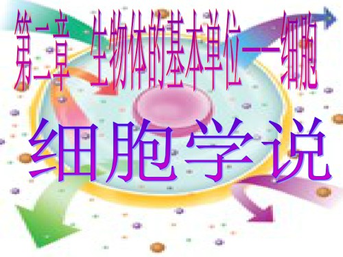 第二章生物结构和功能的基本单位细胞.ppt