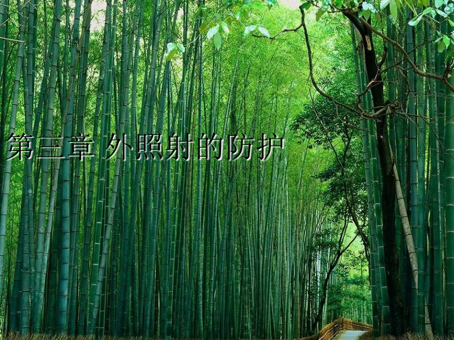 第三章-外照射的防护-大学课程《辐射防护概论》.ppt_第1页