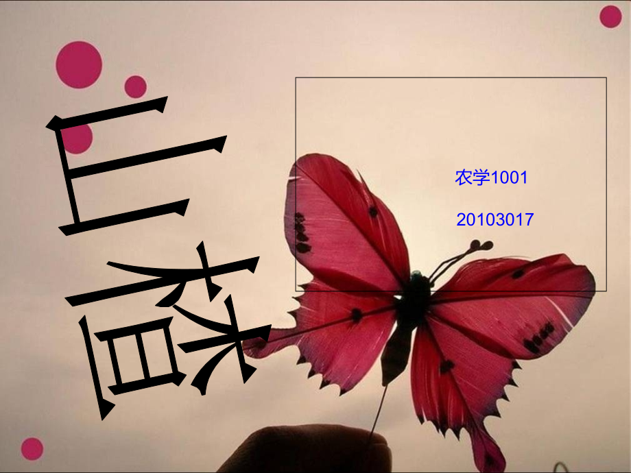 山楂的价值及其栽培技术.ppt_第1页