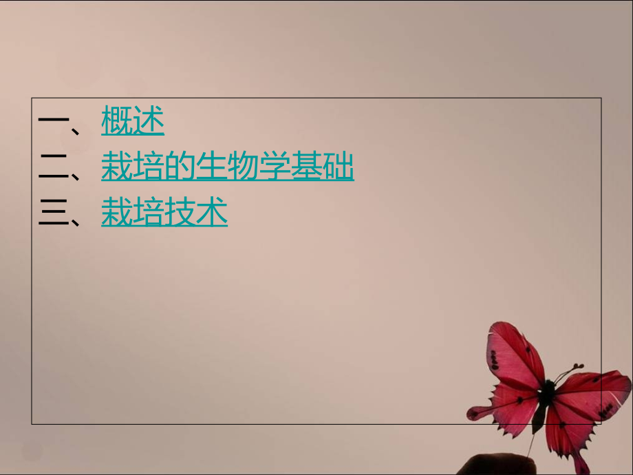 山楂的价值及其栽培技术.ppt_第2页
