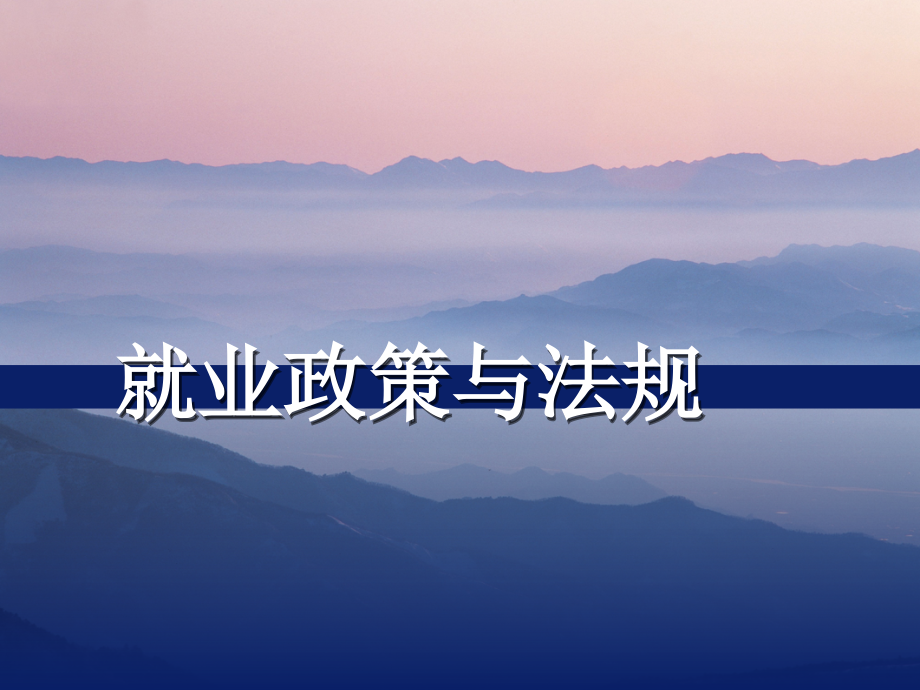 2就业政策法规.ppt_第2页