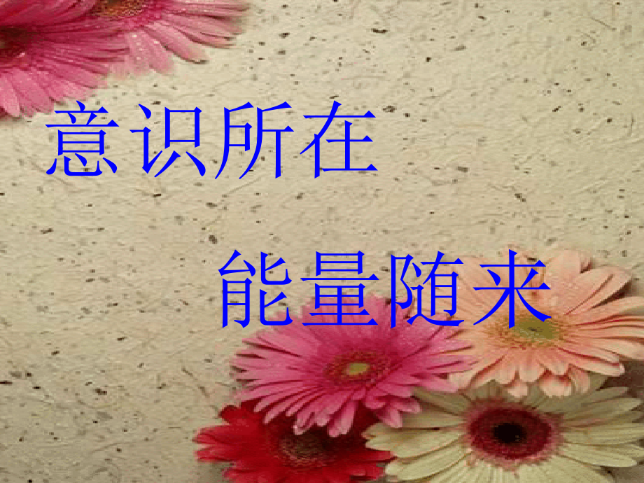 人际沟通中的nlp智慧.ppt_第2页