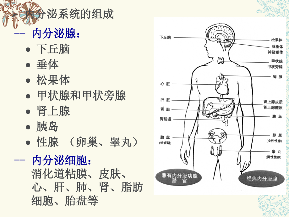 3第三节单纯性甲状腺肿病人的护理.ppt_第2页