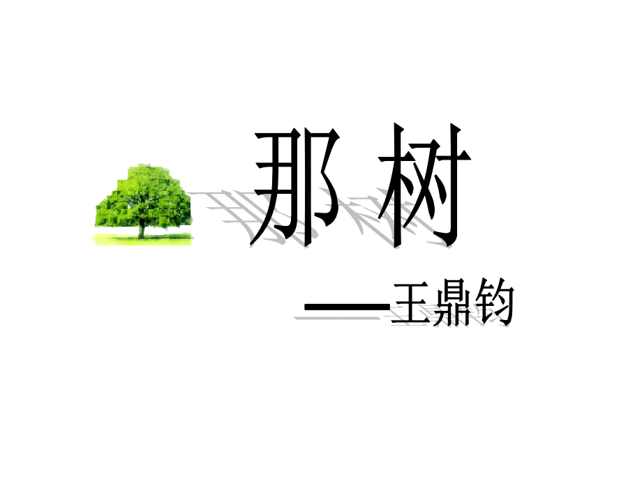 那树有一点佝gōu偻露出老态但是坚固稳定树顶.ppt_第2页