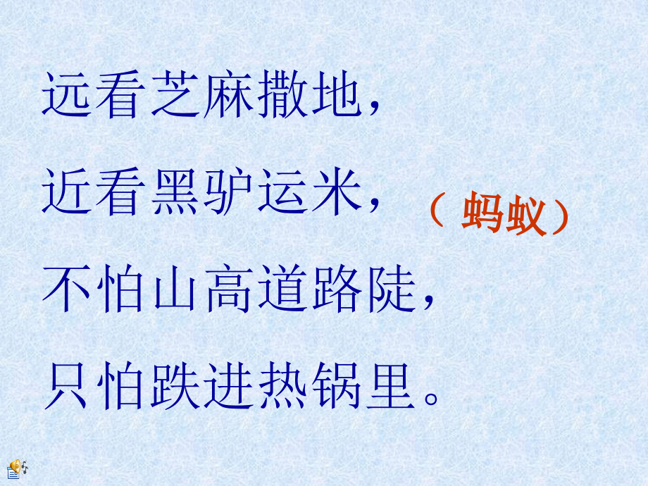 三年级上册科学“寻访蚂蚁”.ppt_第1页